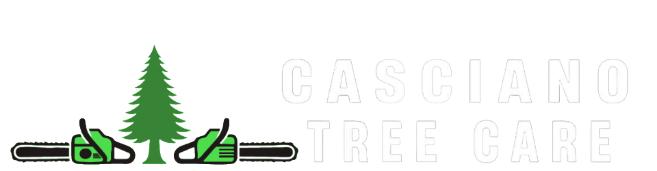 adobe express photo project (3)